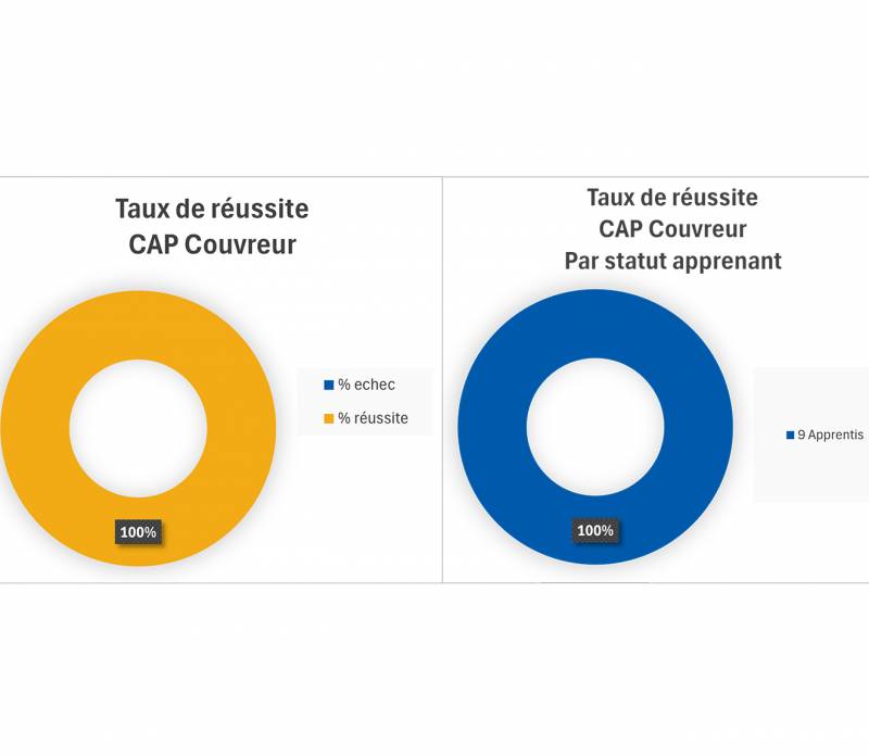 CAP Couvreur en alternance (professionnalisation / apprentissage)